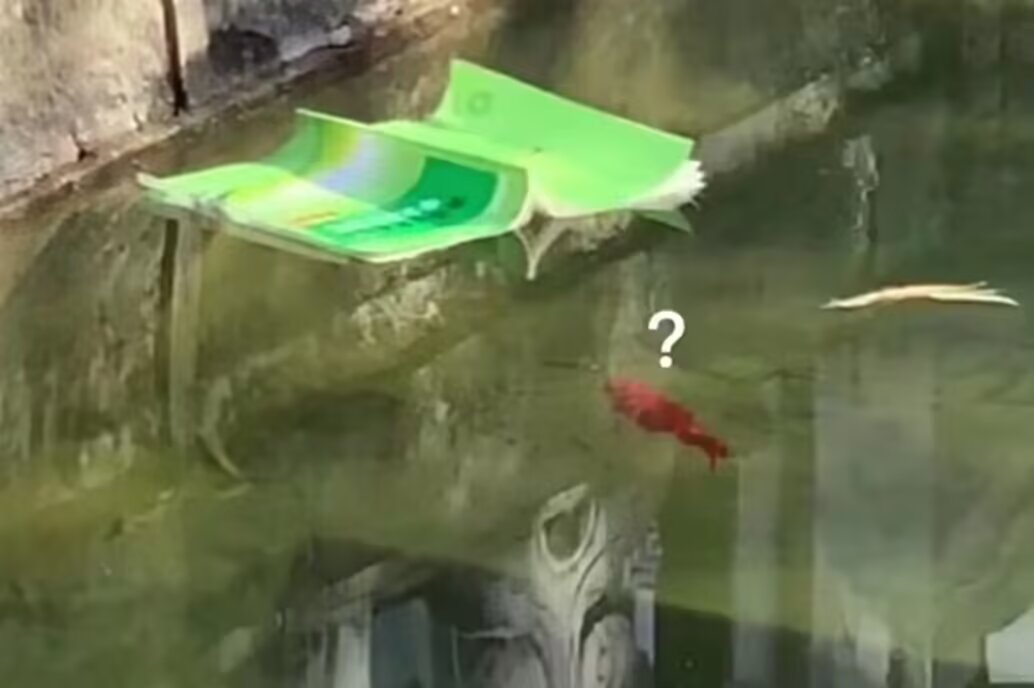 说说图片 1